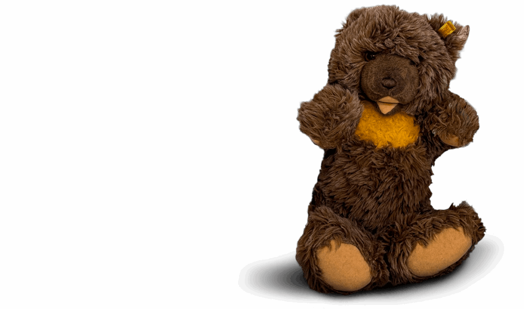 Ein original Steiff-Teddybär mit dunkelbraunem Fell